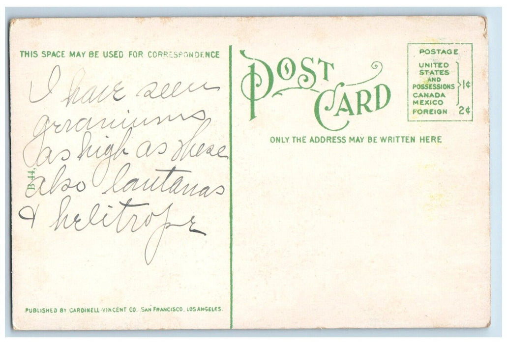 c1910's Rose Covered Residence In Southern California CA, Winter Scene Postcard