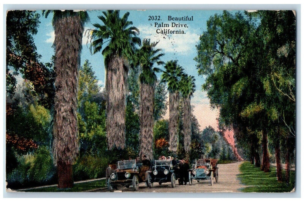 1916 Beautiful Palm Drive Cars Chino California CA Posted Antique Postcard