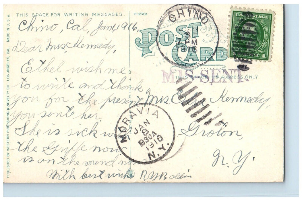 1916 Beautiful Palm Drive Cars Chino California CA Posted Antique Postcard