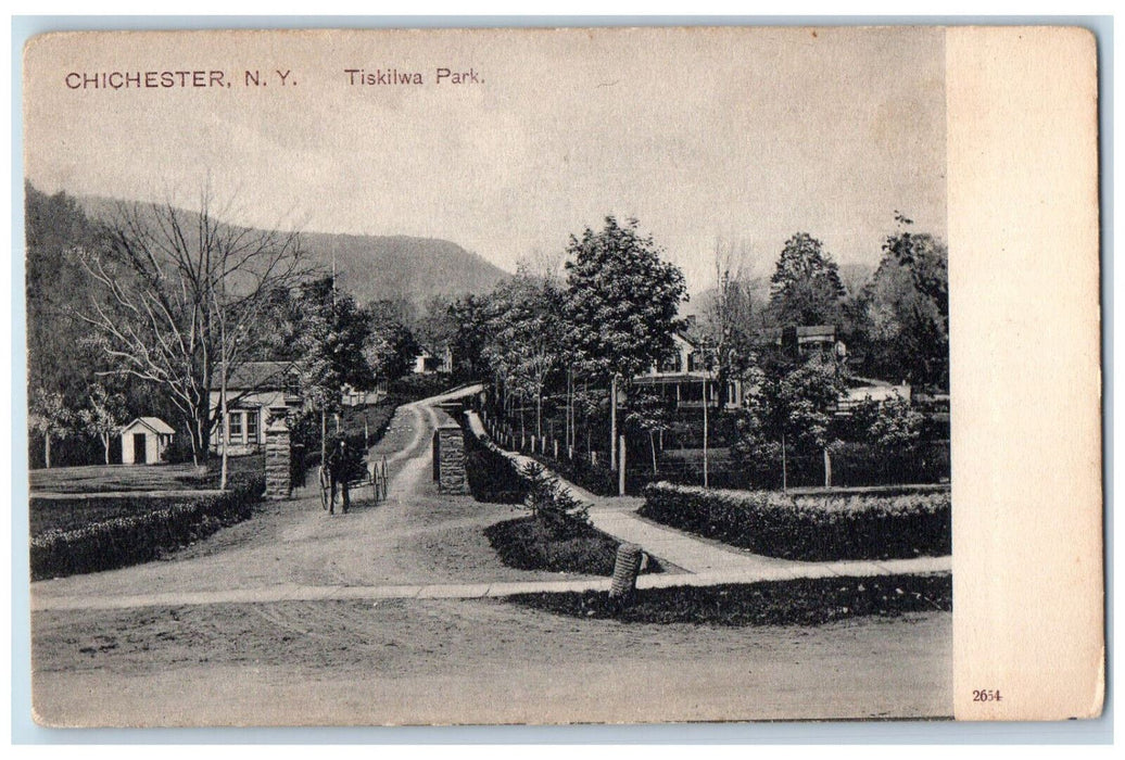 c1905 Tiskilwa Park Chichester New York NY PCK Series Unposted Postcard