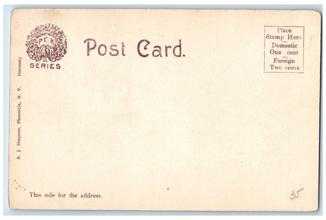 c1905 Tiskilwa Park Chichester New York NY PCK Series Unposted Postcard