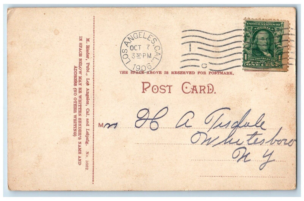 1906 A California Residence In Winter Los Angeles California CA Antique Postcard