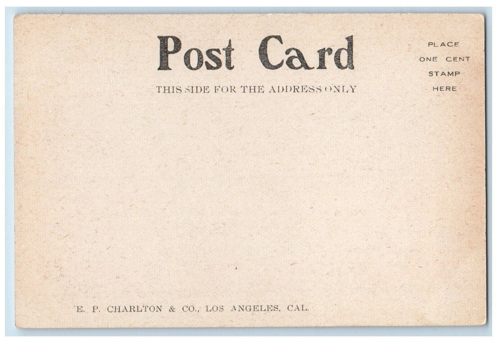 1906 California Street San Francisco After The Earthquake CA Antique Postcard