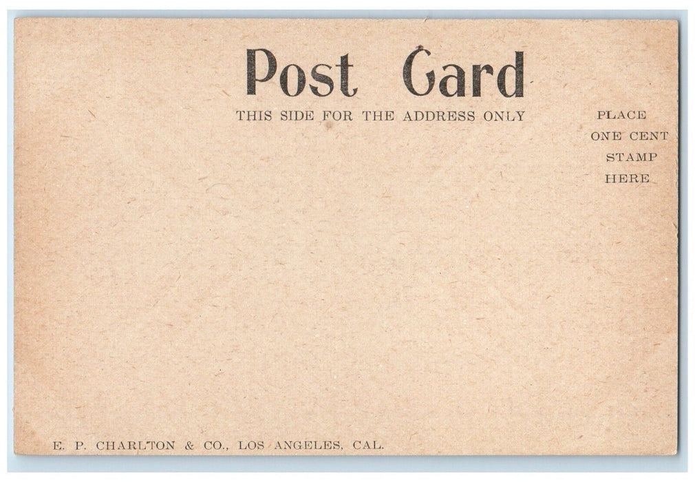 1906 Memorial Arch Stanford University Destroyed Earthquake California Postcard