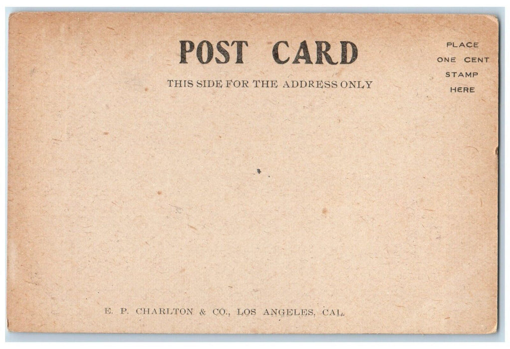 1906 Front View Of Stanford Memorial Church Destroyed Earthquake CA Postcard