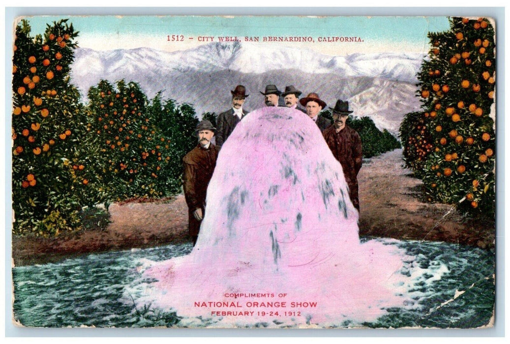 c1910's National Orange Show City Well San Bernadino California CA Postcard
