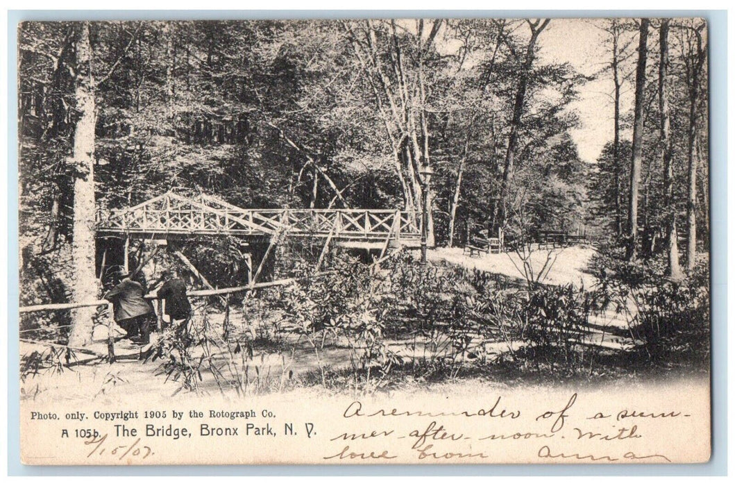 1907 The Bridge And Trees Bronx New York NY Rotograph Posted Antique Postcard