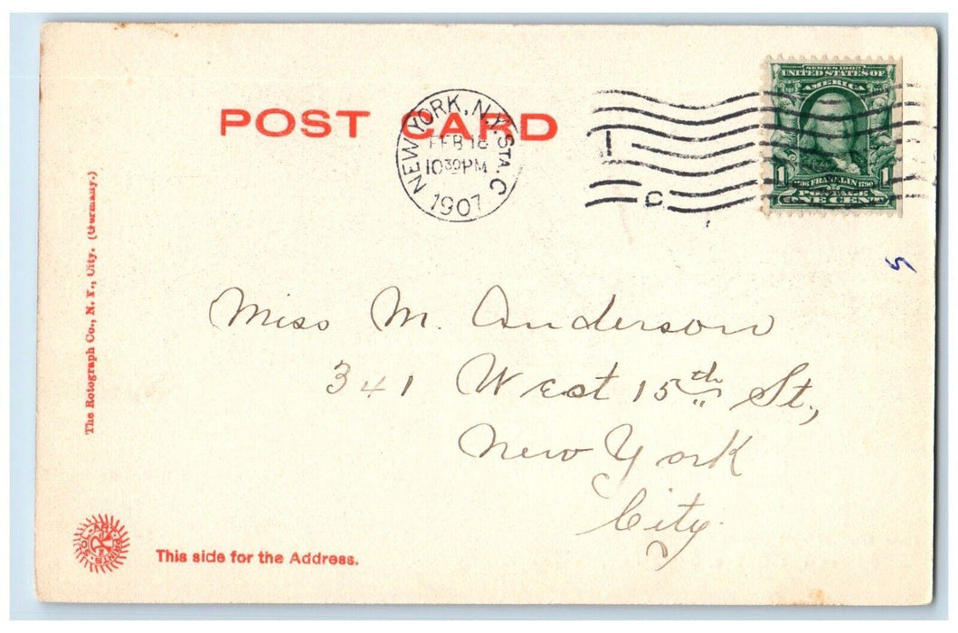1907 The Bridge And Trees Bronx New York NY Rotograph Posted Antique Postcard