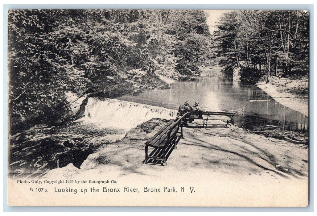 c1905 Looking Up The Bronx River Bronx New York NY Rotograph Antique Postcard