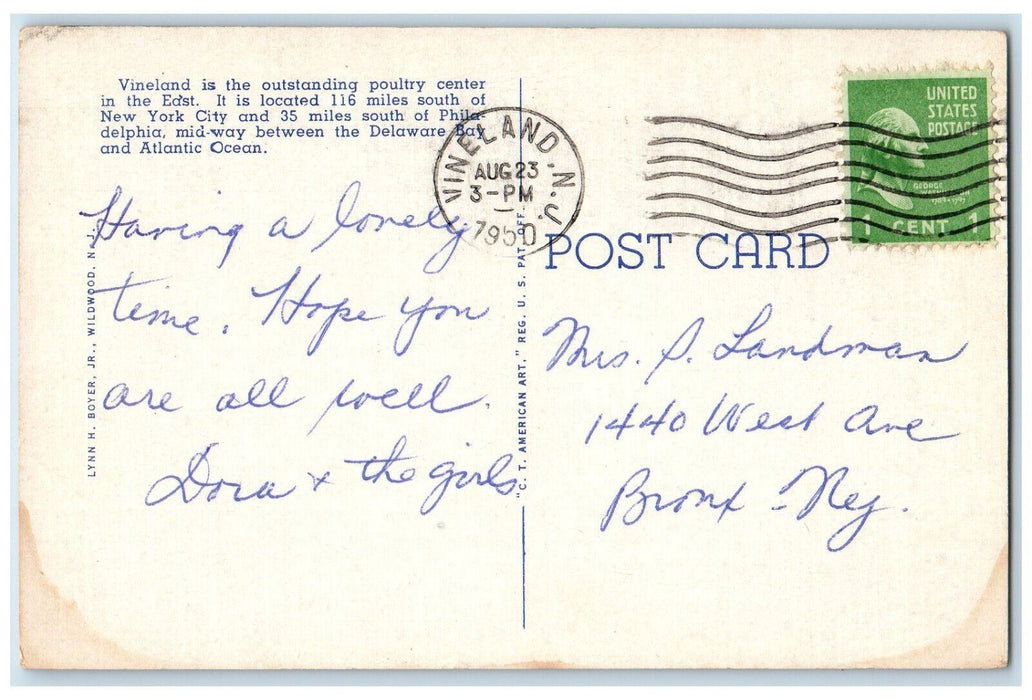 1950 Vineland High School Vineland New Jersey NJ Vintage Posted Postcard