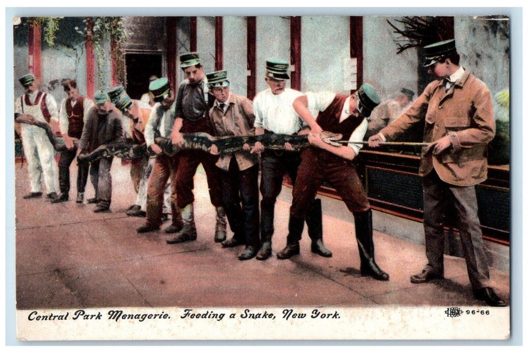 c1910's Central Park Menagerie Feeding A Snake New York NY Antique Postcard