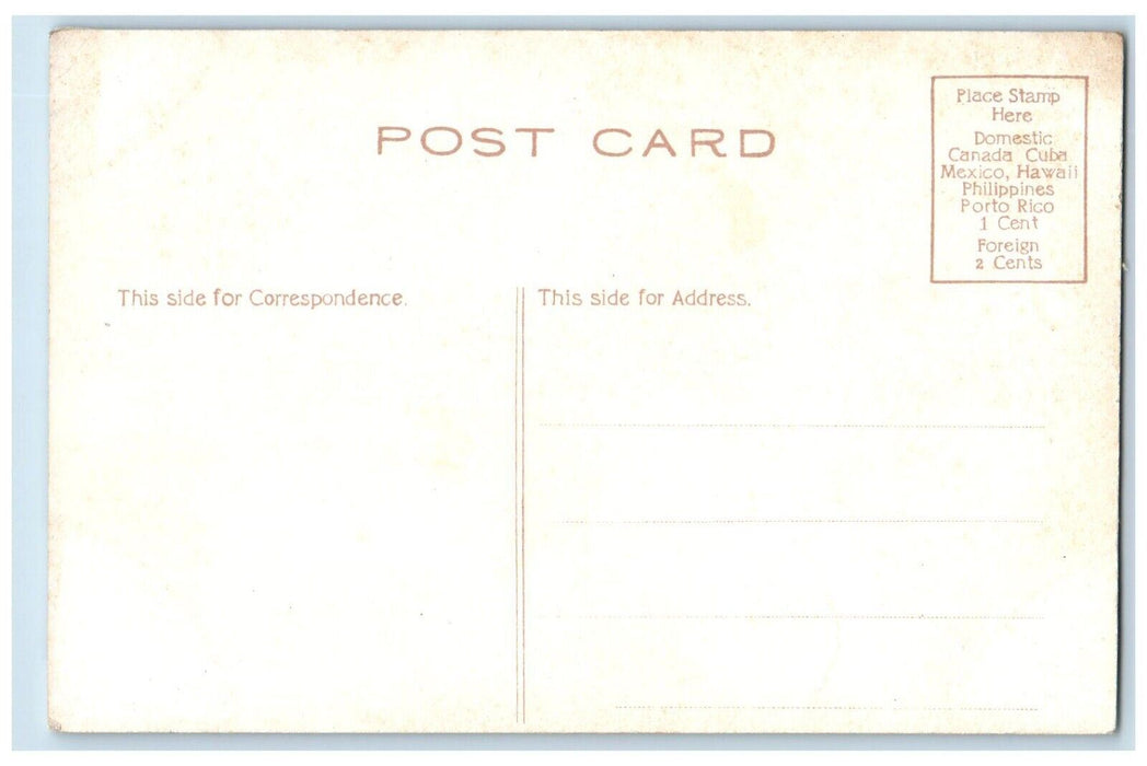 c1910's Central Park Menagerie Feeding A Snake New York NY Antique Postcard