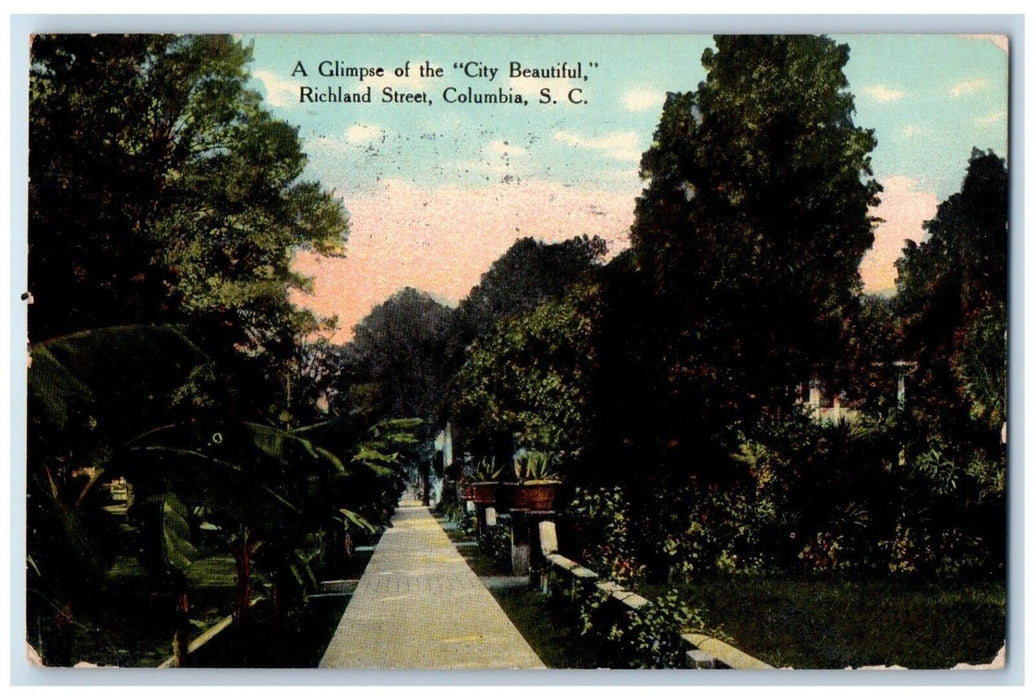 1910 Glimpse City Beautiful Richland Street Columbia South Carolina SC Postcard