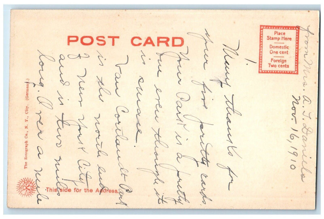 c1905 The Locust Grove Van Cortlandt Park New York NY Rotograph Antique Postcard
