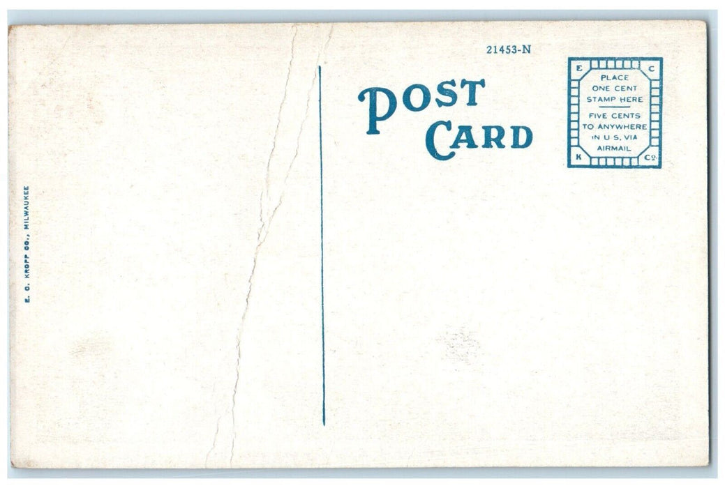 c1910's Knickerbocker Grill Chinese And American Restaurant Broadway NY Postcard