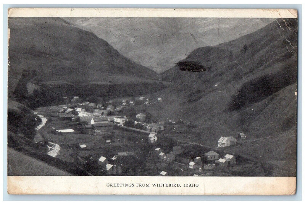1908 Greetings From Whitebird Mountain Aerial View Town City Idaho ID Postcard