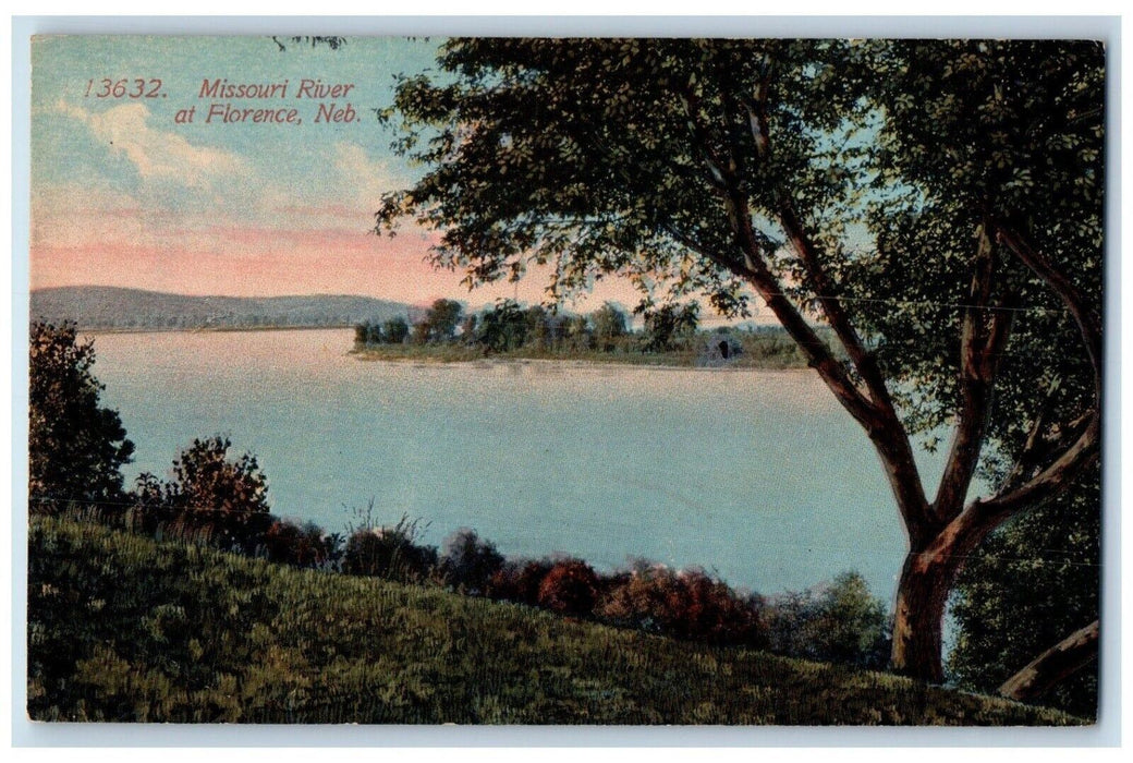 c1910 Missouri River Plants Trees Lake Mountain Grass Florence Nebraska Postcard