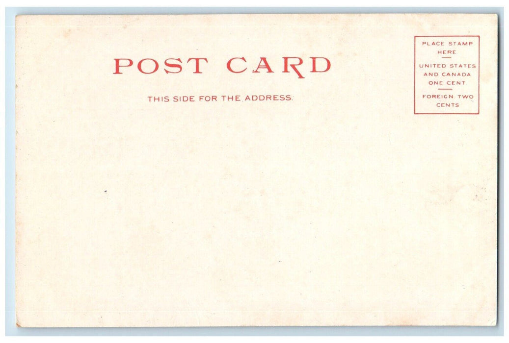 c1905 Gould Hall New York University Building New York City NY Antique Postcard