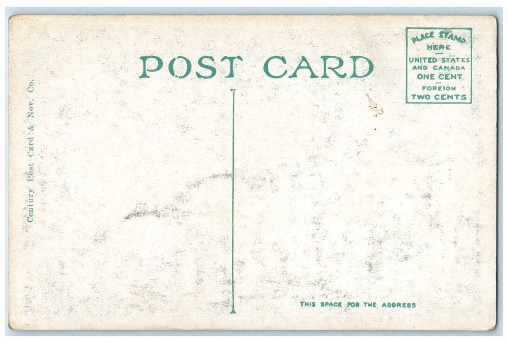 c1910's Mount Sinai Hospital Building Car New York City NY Antique Postcard
