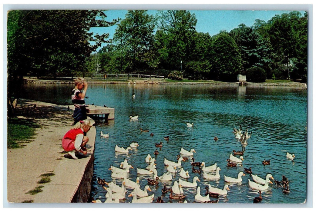 c1960's Roslyn Park Roslyn Long Island New York NY Feeding Ducks Swans Postcard