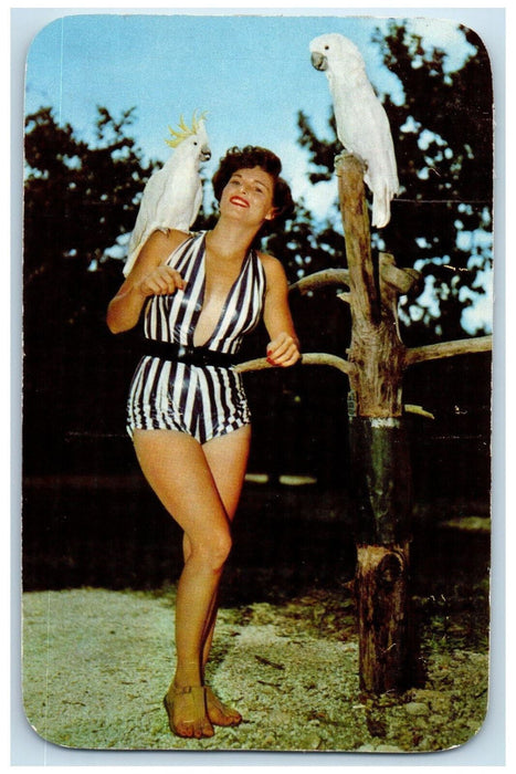 c1960's Beautiful Lady and the Parrot Birds Miami Rare Bird Farm Postcard