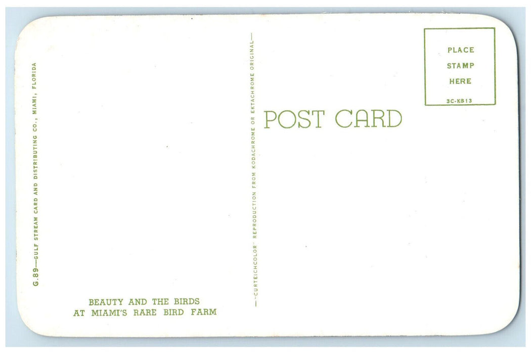 c1960's Beautiful Lady and the Parrot Birds Miami Rare Bird Farm Postcard