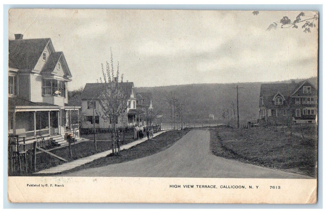1907 High View Terrace House Exterior Street Road Callicoon New York NY Postcard