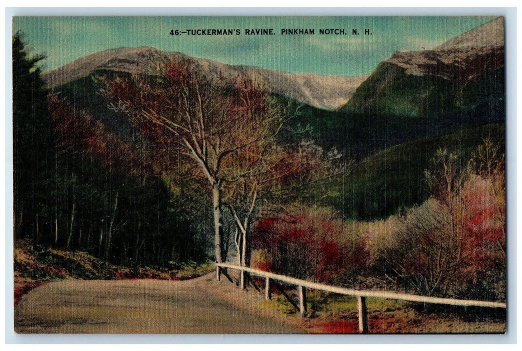 c1940 Tuckermans Ravine Mountain Road Trees Pinkham Notch New Hampshire Postcard