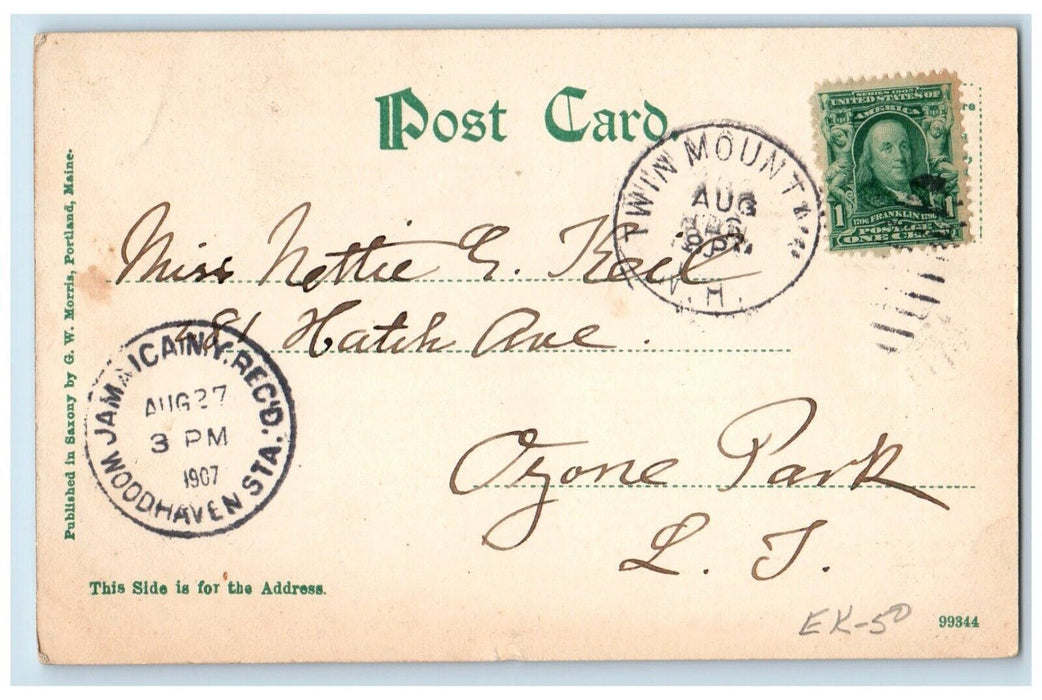 1907 Echo Lake Profile House Mountain Trees Plants River New Hampshire Postcard
