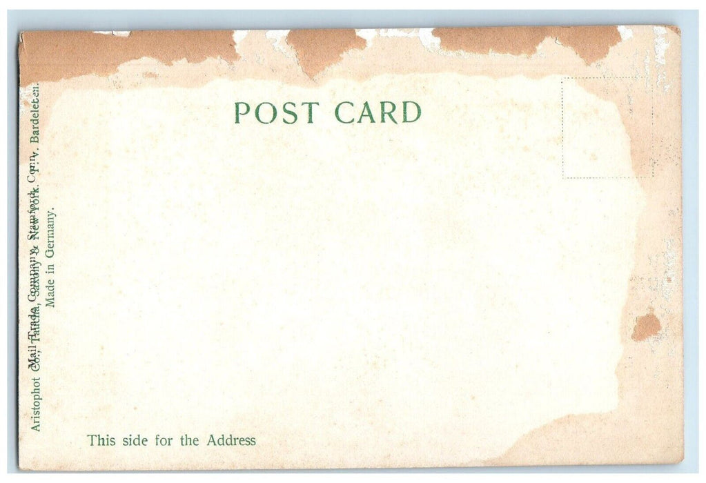 c1905 A Jewish Store Jewish Quarter Barrell Market S. Taran New York NY Postcard