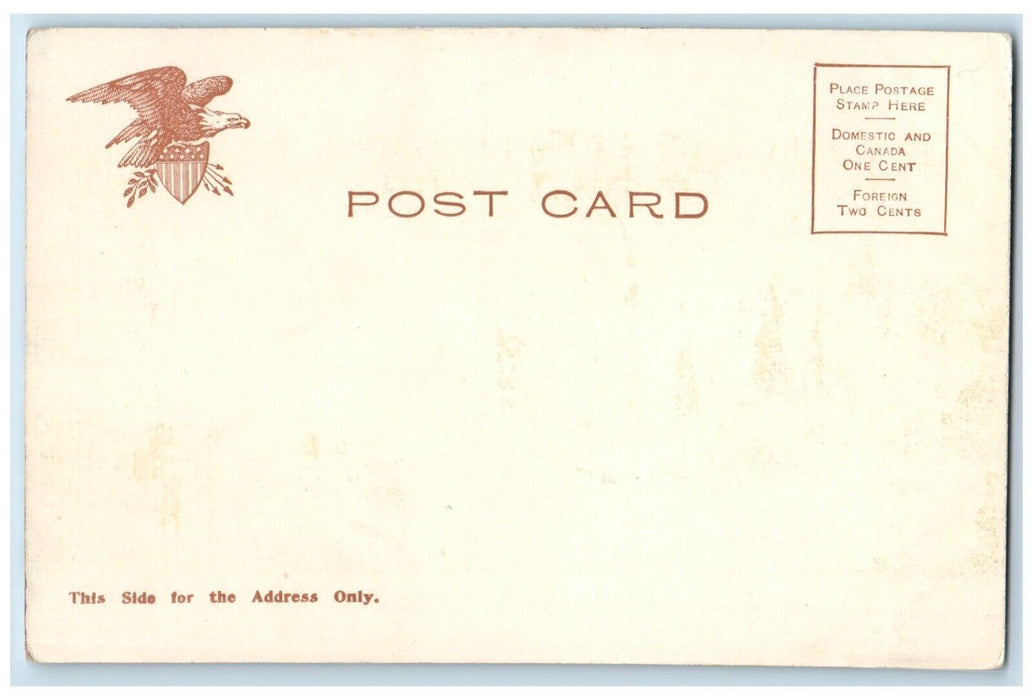 c1905 View Of Columbia University Building New York NY Unposted Antique Postcard