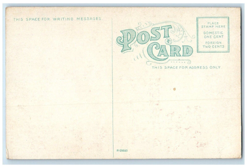 c1910 New York Central Depot Horse Carriage Exterior Buffalo New York Postcard