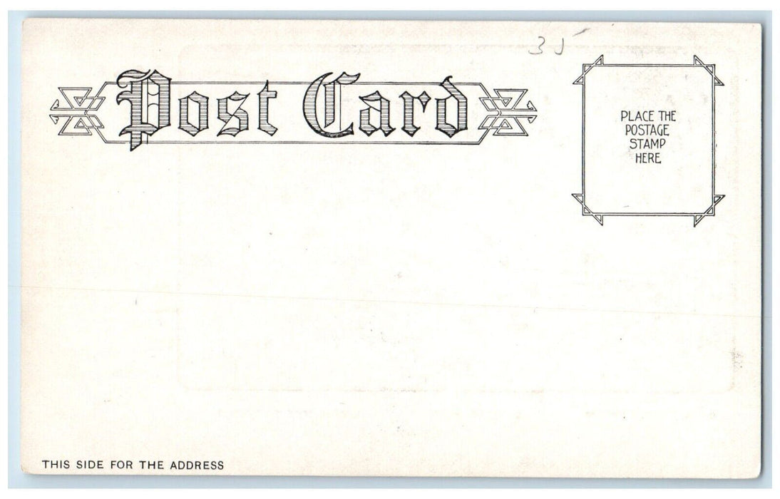 c1905 Buffalo Public Library Lafayette Hotel Mooney Building New York Postcard