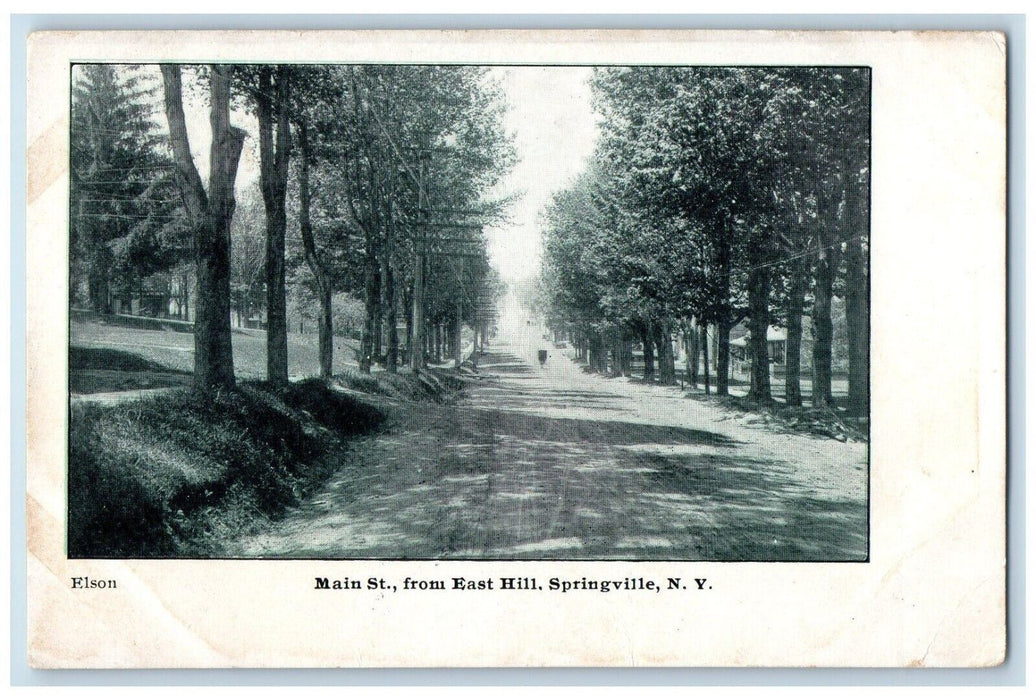 1907 Main Street From East Hill Dirt Road Springville New York NY Postcard