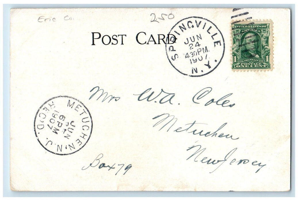 1907 Main Street From East Hill Dirt Road Springville New York NY Postcard