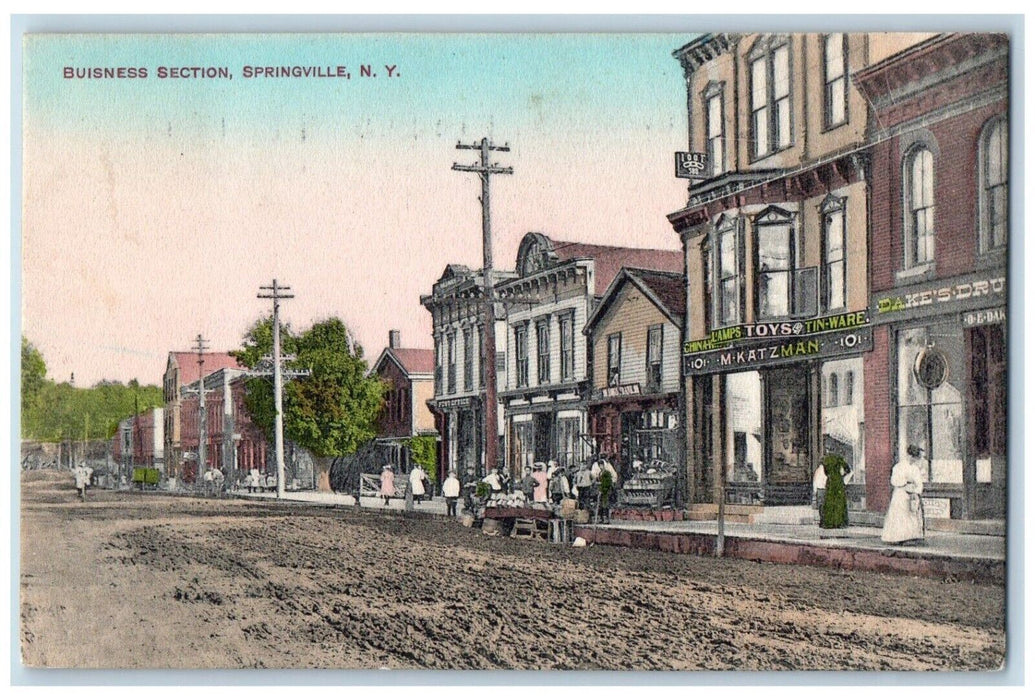 1910 Business Section Storefronts Toys Tinware Dirt Road Springville NY Postcard