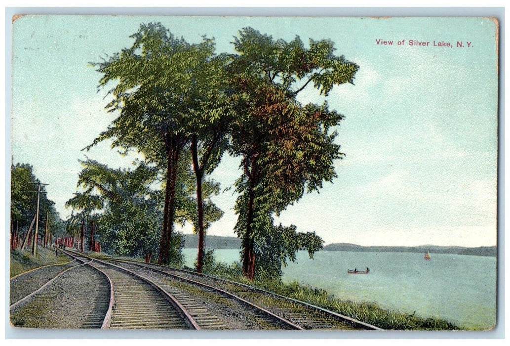 1909 View In Silver Lake New York NY, Railroad Train And Trees Antique Postcard