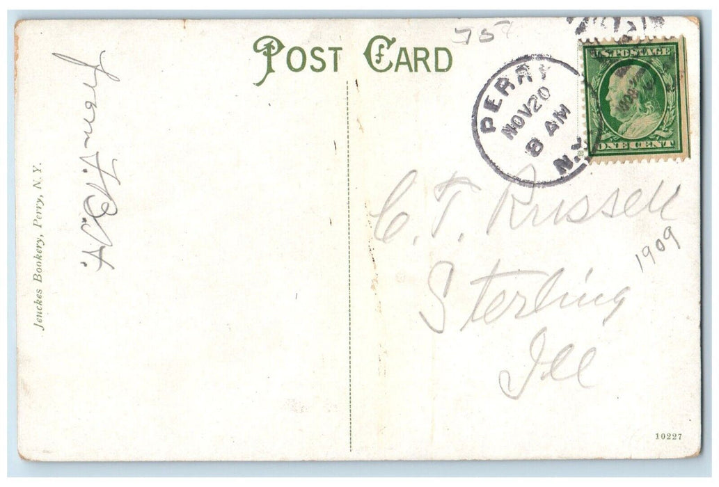 1909 View In Silver Lake New York NY, Railroad Train And Trees Antique Postcard