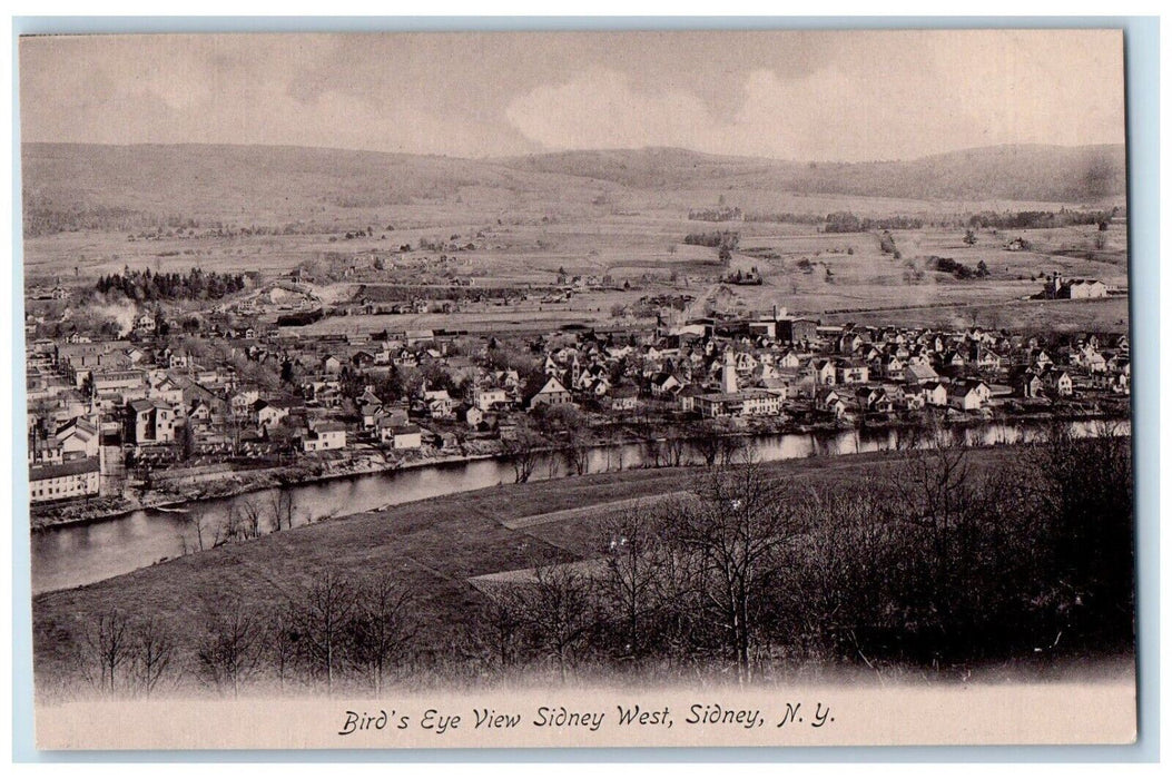 c1905 Bird's Eye View Sidney West Sidney New York NY Unposted Antique Postcard