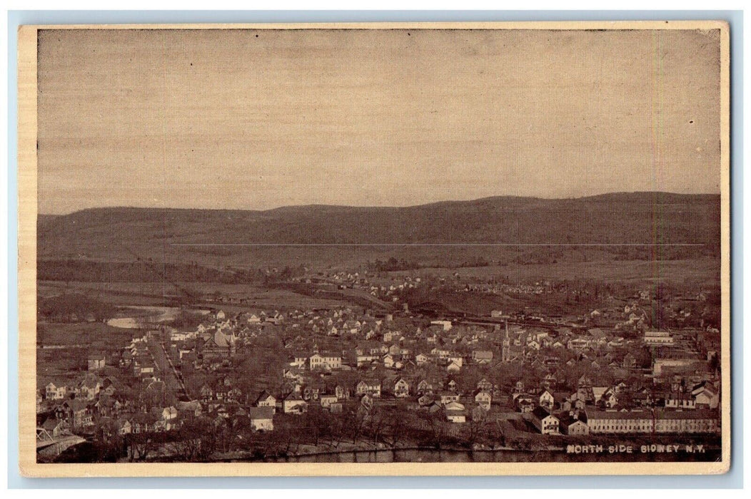 c1910's Bird's Eye View Of North Side Sidney New York NY Antique Postcard