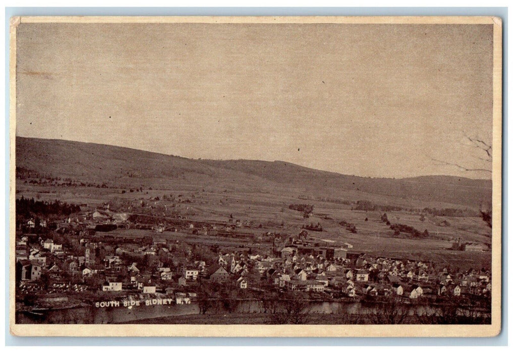 c1910's Bird's Eye View Of South Side Sidney New York NY Unposted Postcard