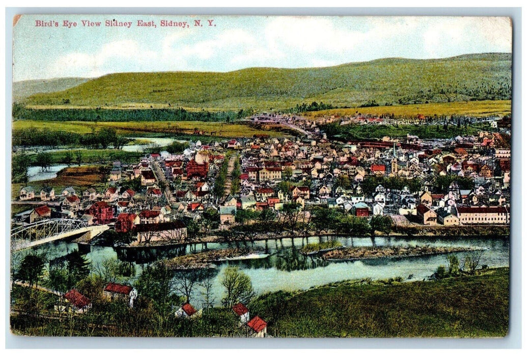 1910 Bird's Eye View Sidney East, Sidney New York NY Posted Antique Postcard