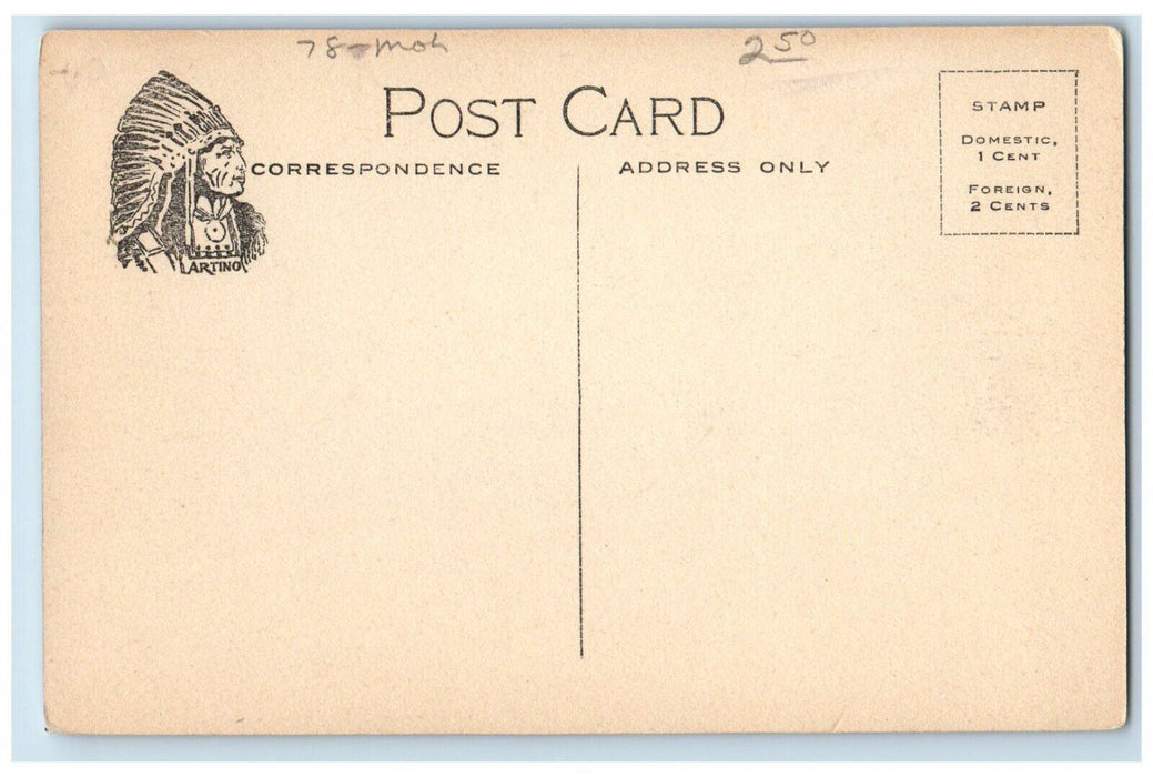c1910's Depot Street Looking East Dirt Road Sidney Center New York NY Postcard