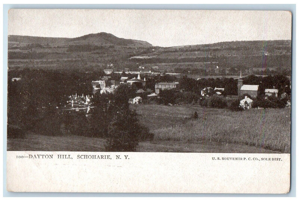 c1905 Bird's Eye View Of Dayton Hill Schoharie New York NY Antique Postcard