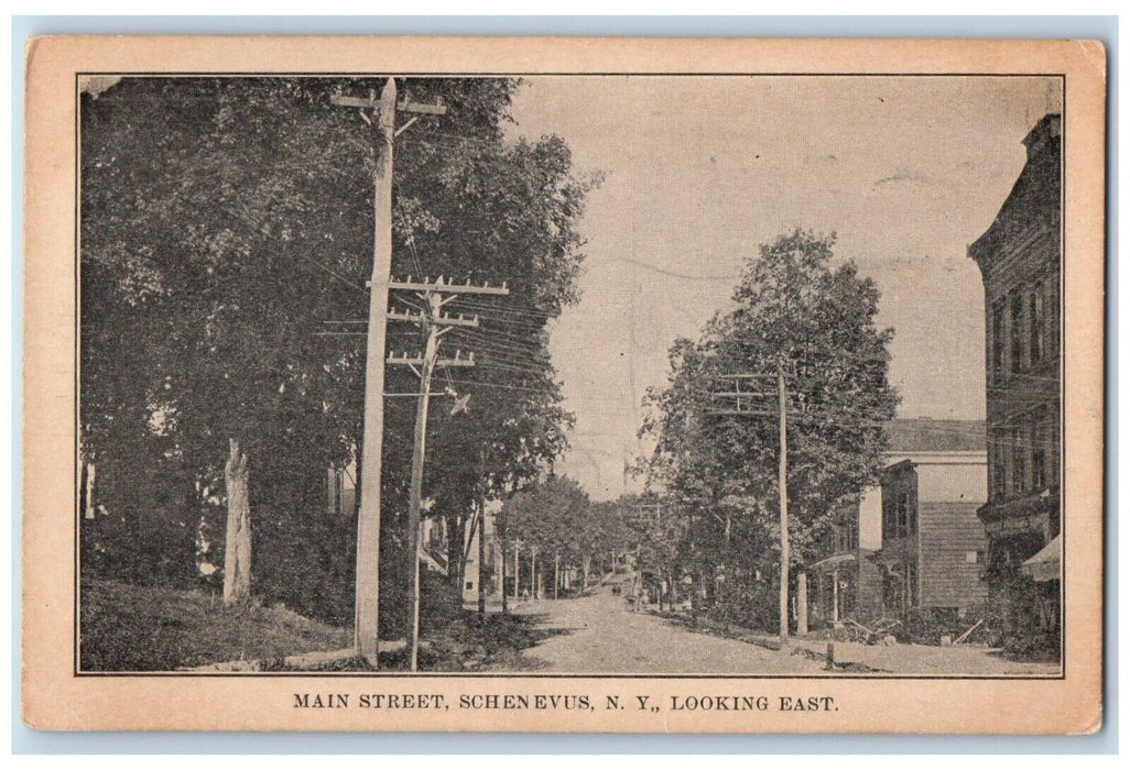 c1910's Main Street Dirt Road Schenevus New York NY, Looking East Postcard