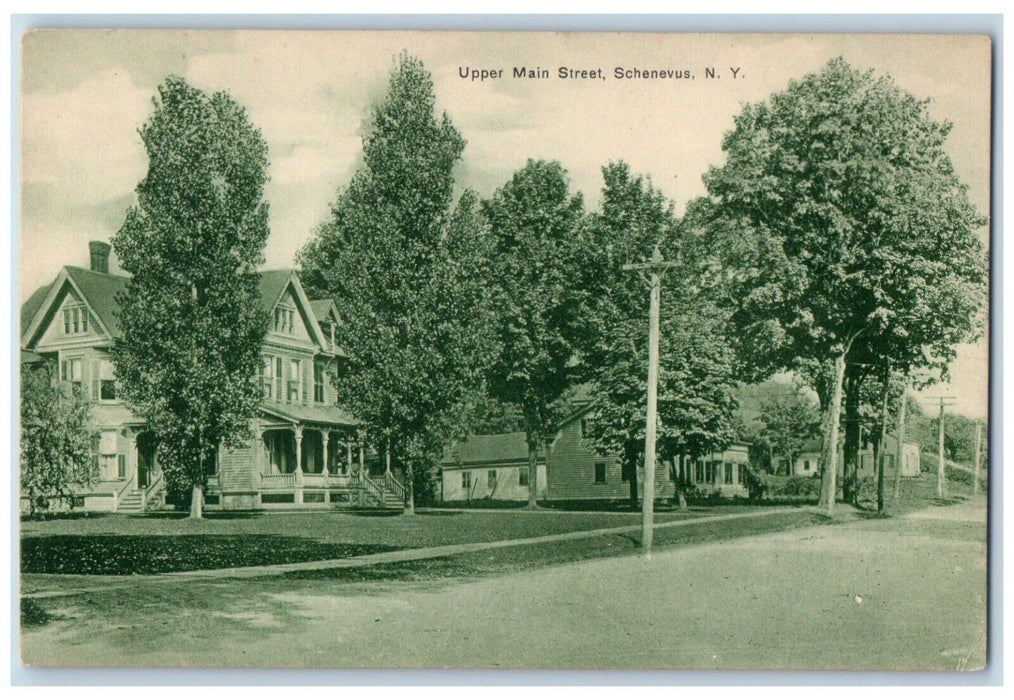 c1910's Upper Main Street View House Scene Schenevus New York NY Postcard