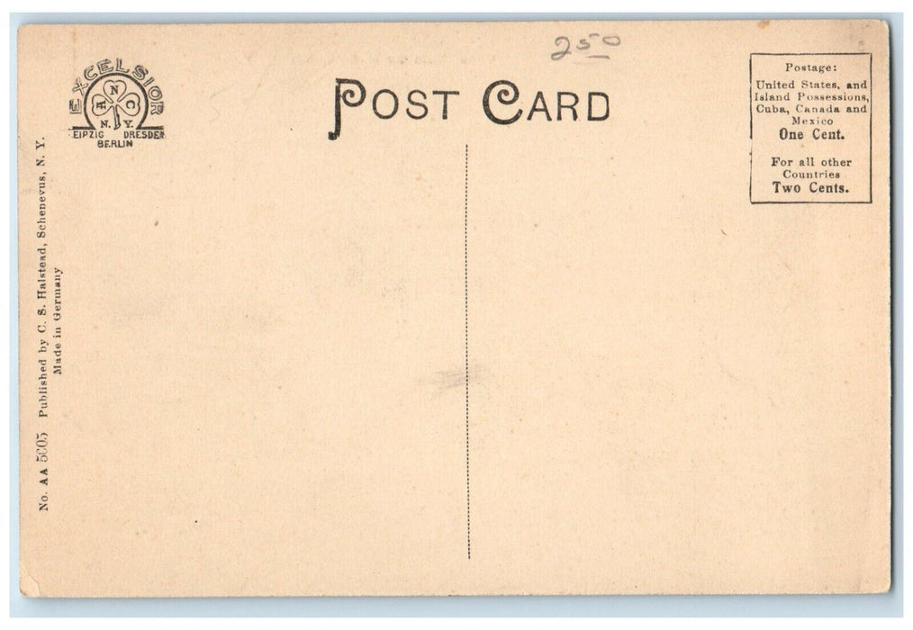 c1910's Upper Main Street View House Scene Schenevus New York NY Postcard