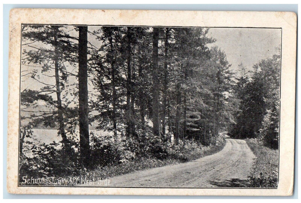 1907 West Side Dirt Road And Trees Schunters Lake Morris New York NY Postcard