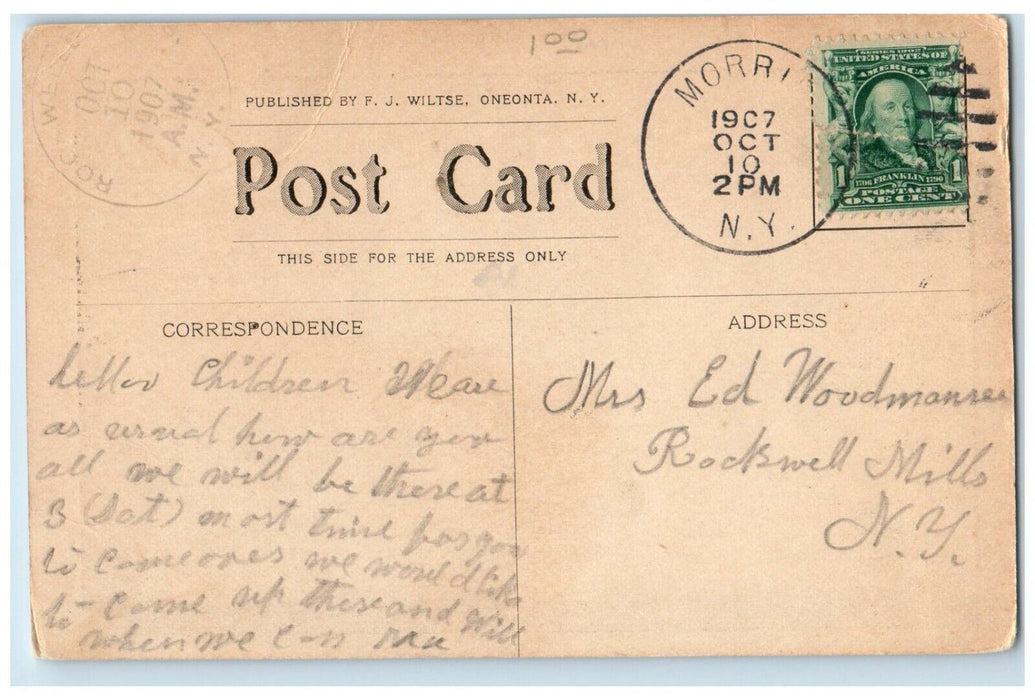 1907 West Side Dirt Road And Trees Schunters Lake Morris New York NY Postcard
