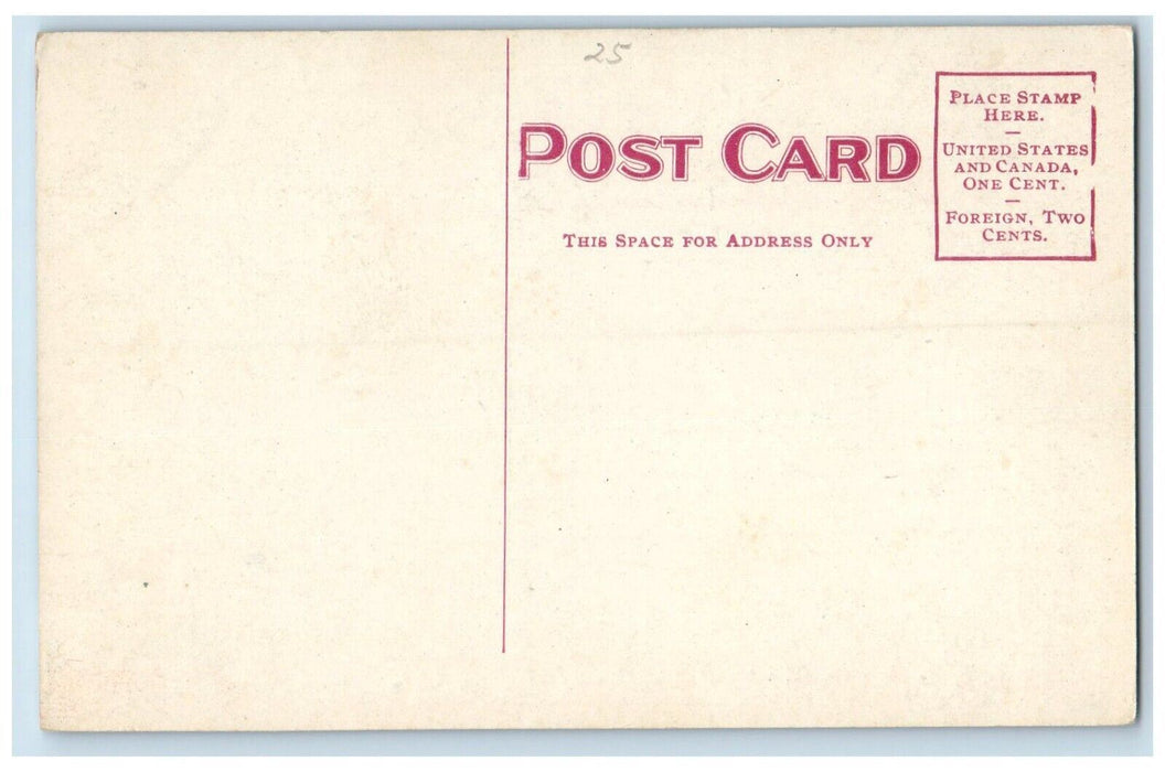 c1910 Main Street Showing Dr. Pierces Dispensary Road Buffalo New York Postcard